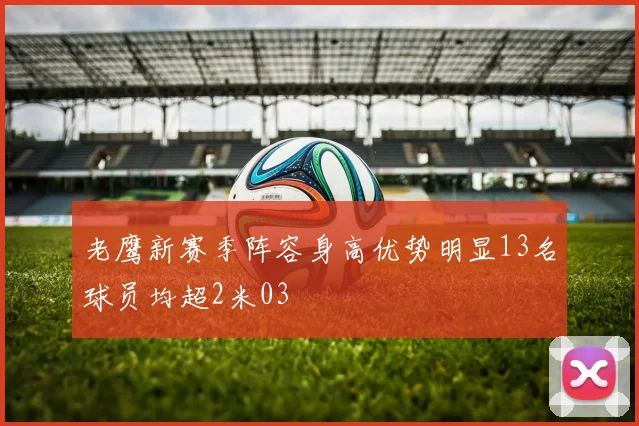 老鹰新赛季阵容身高优势明显13名球员均超2米03