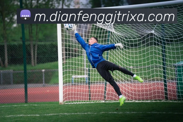 App Interface Preview