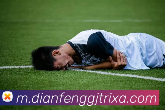 巅峰国际APP 封面图